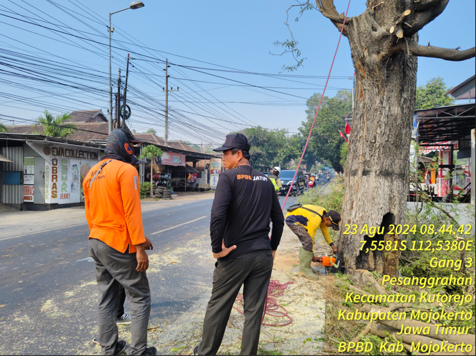 Antisipasi Angin Kencang